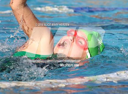 Thumbnail 1 in Weeki Wachee vs Springstead, Central photogallery.