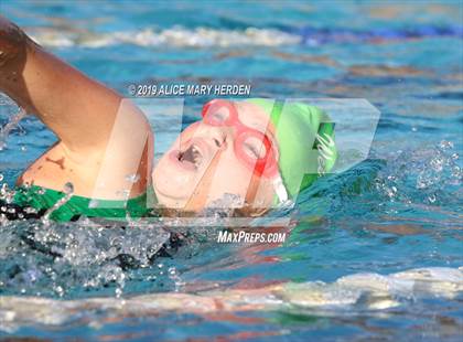 Thumbnail 3 in Weeki Wachee vs Springstead, Central photogallery.