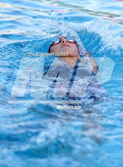 Thumbnail 2 in Weeki Wachee vs Springstead, Central photogallery.