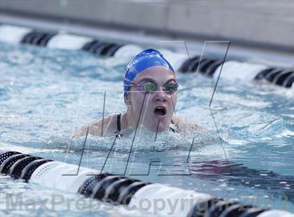 Thumbnail 2 in Bunnell @ Brookfield photogallery.