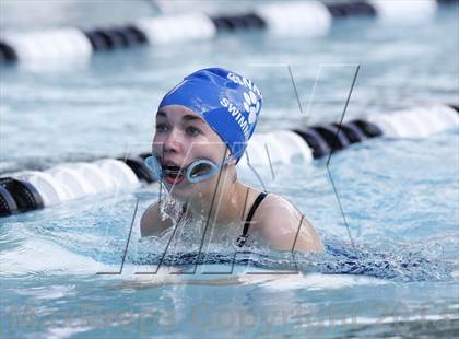 Thumbnail 2 in Bunnell @ Brookfield photogallery.
