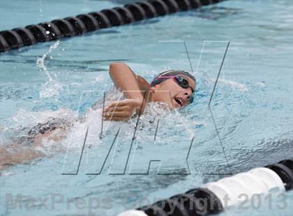 Thumbnail 3 in Bunnell @ Brookfield photogallery.