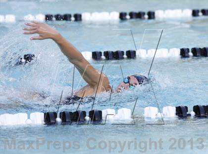 Thumbnail 2 in Bunnell @ Brookfield photogallery.