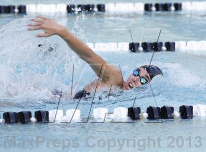 Thumbnail 3 in Bunnell @ Brookfield photogallery.