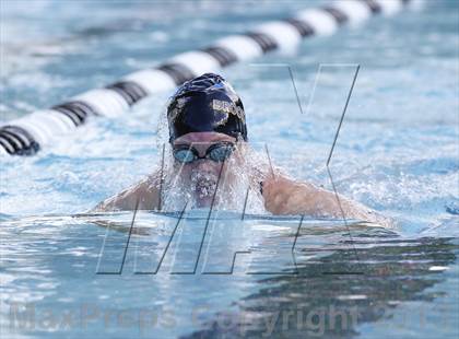 Thumbnail 1 in Bunnell @ Brookfield photogallery.