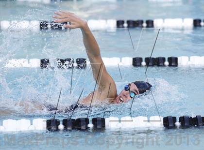 Thumbnail 2 in Bunnell @ Brookfield photogallery.