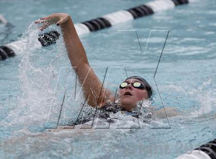 Thumbnail 3 in Bunnell @ Brookfield photogallery.