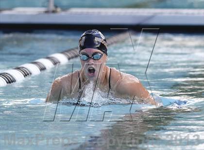 Thumbnail 2 in Bunnell @ Brookfield photogallery.