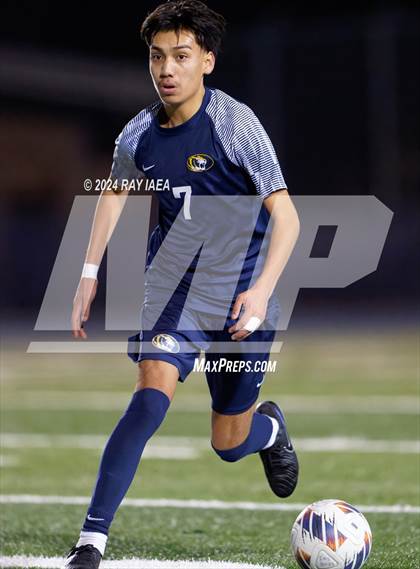 Thumbnail 3 in Antelope @ Inderkum photogallery.