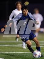 Photo from the gallery "Antelope @ Inderkum"