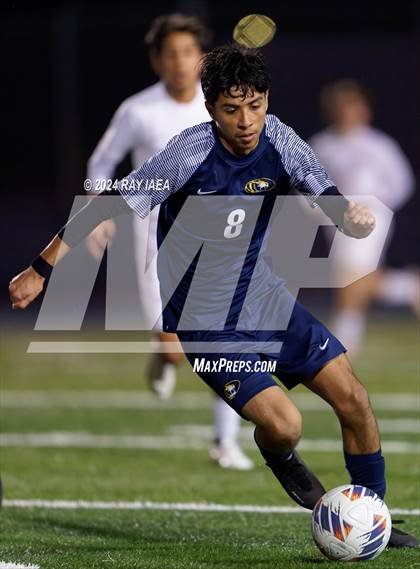 Thumbnail 3 in Antelope @ Inderkum photogallery.