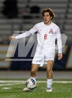 Photo from the gallery "Antelope @ Inderkum"