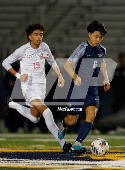 Thumbnail 3 in Antelope @ Inderkum photogallery.