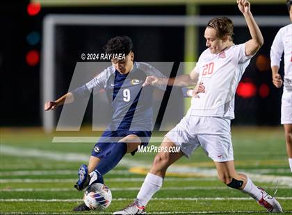 Thumbnail 1 in Antelope @ Inderkum photogallery.
