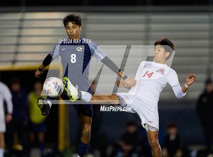 Thumbnail 2 in Antelope @ Inderkum photogallery.