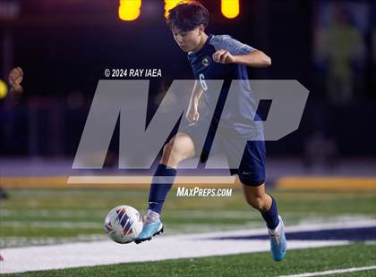 Thumbnail 1 in Antelope @ Inderkum photogallery.