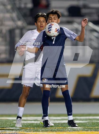Thumbnail 3 in Antelope @ Inderkum photogallery.