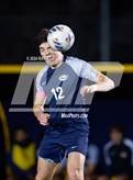 Photo from the gallery "Antelope @ Inderkum"