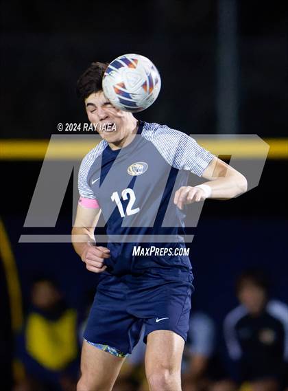 Thumbnail 2 in Antelope @ Inderkum photogallery.