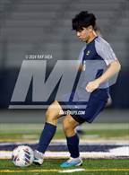 Photo from the gallery "Antelope @ Inderkum"