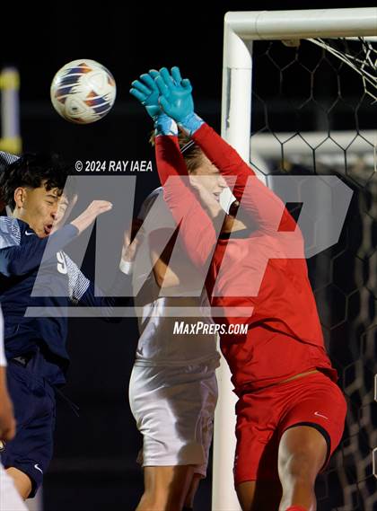 Thumbnail 3 in Antelope @ Inderkum photogallery.