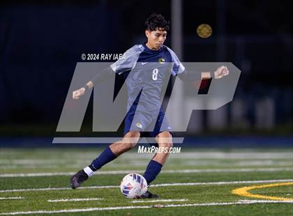 Thumbnail 2 in Antelope @ Inderkum photogallery.