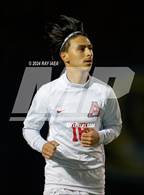 Photo from the gallery "Antelope @ Inderkum"