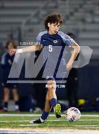 Photo from the gallery "Antelope @ Inderkum"