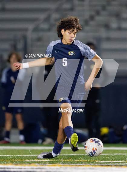 Thumbnail 1 in Antelope @ Inderkum photogallery.