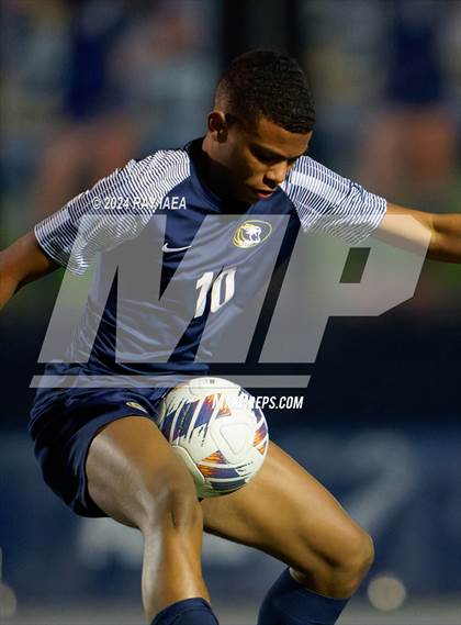 Thumbnail 1 in Antelope @ Inderkum photogallery.