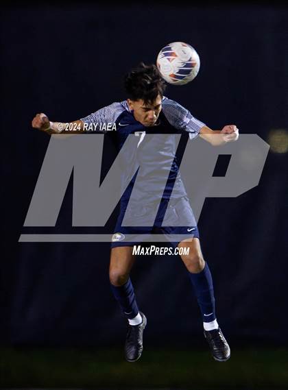 Thumbnail 1 in Antelope @ Inderkum photogallery.