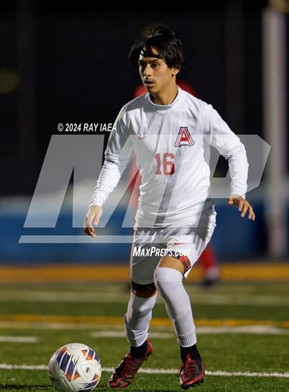 Thumbnail 1 in Antelope @ Inderkum photogallery.