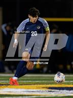 Photo from the gallery "Antelope @ Inderkum"