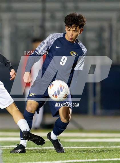 Thumbnail 1 in Antelope @ Inderkum photogallery.