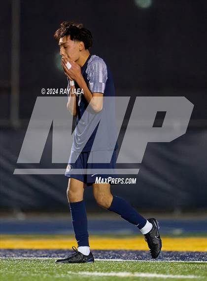 Thumbnail 2 in Antelope @ Inderkum photogallery.