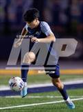 Photo from the gallery "Antelope @ Inderkum"