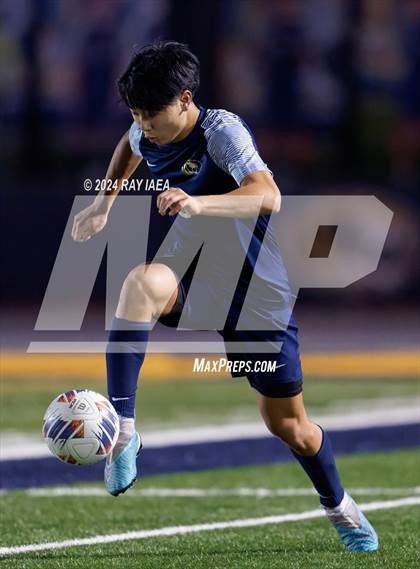 Thumbnail 3 in Antelope @ Inderkum photogallery.