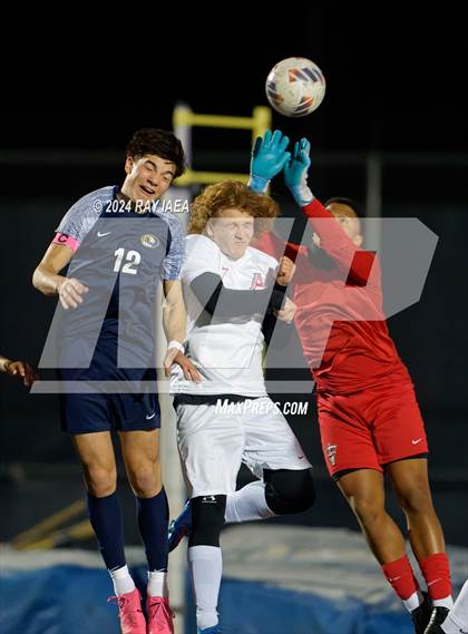 Thumbnail 3 in Antelope @ Inderkum photogallery.
