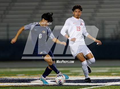Thumbnail 2 in Antelope @ Inderkum photogallery.