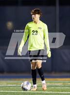 Photo from the gallery "Antelope @ Inderkum"