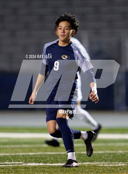 Thumbnail 2 in Antelope @ Inderkum photogallery.