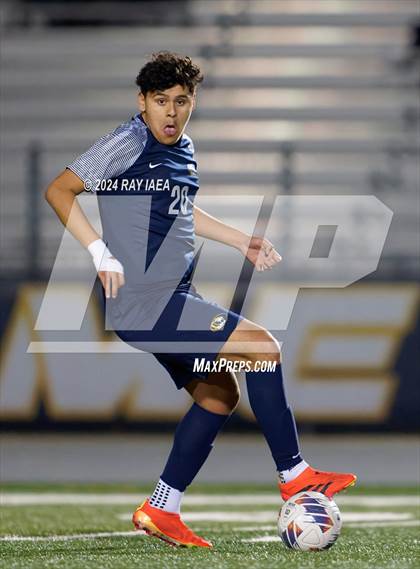 Thumbnail 3 in Antelope @ Inderkum photogallery.