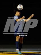 Photo from the gallery "Antelope @ Inderkum"
