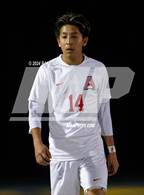 Photo from the gallery "Antelope @ Inderkum"