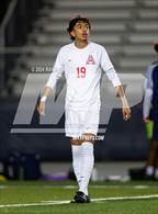 Photo from the gallery "Antelope @ Inderkum"