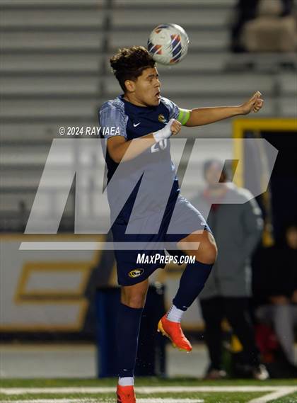 Thumbnail 1 in Antelope @ Inderkum photogallery.
