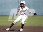 Photo from the gallery "Saint Francis vs Rocklin (CIF NorCal Divison 1 Round 1)"