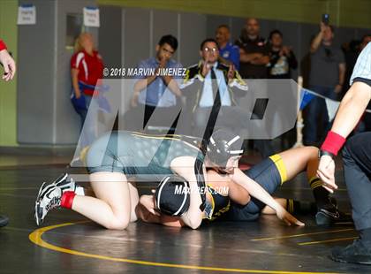Thumbnail 2 in CIF Los Angeles City Section Wrestling Championships photogallery.