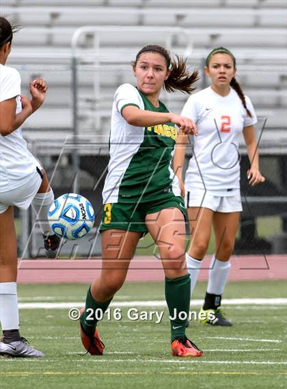 Thumbnail 3 in Woodland vs. Placer (CIF SJS D4 Final) photogallery.