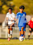 Photo from the gallery "South View @ St. Pauls"